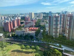 Newton Suites (D11), Apartment #459163301